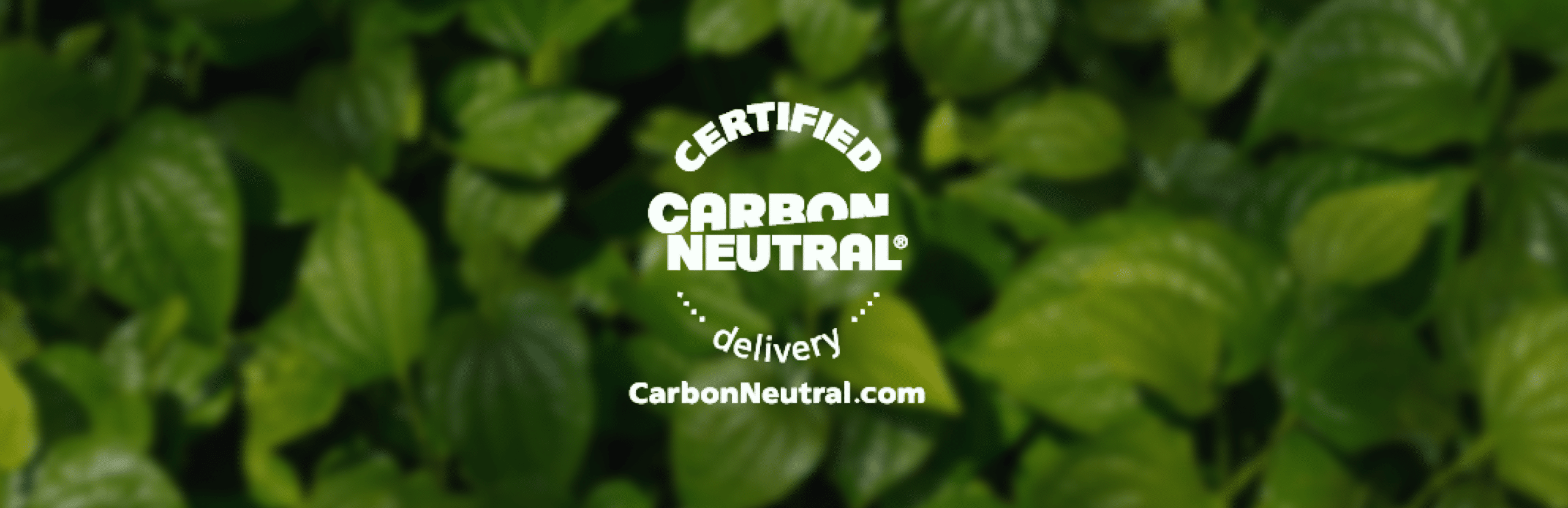 REDUCCIÓN DE HUELLA DE CARBONO